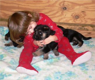 Little girl hugging her German Shepherd puppies.
