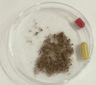 Pills made from aborted babies