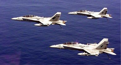 FA-18 Hornets