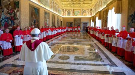 Francis faces the cardinals