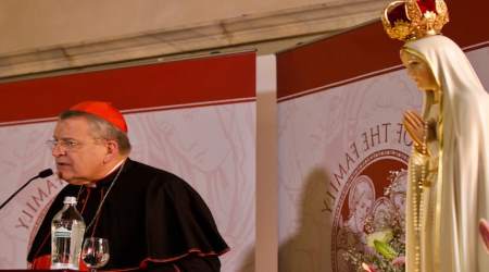 Cardinal Burke is watched over by Our Lady of Fatima