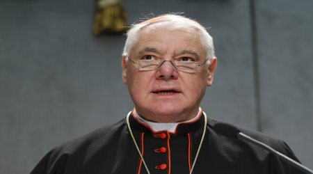 Cardinal Gerhard Muller