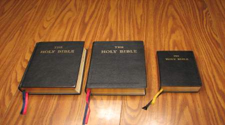 Douay Rheims Bibles