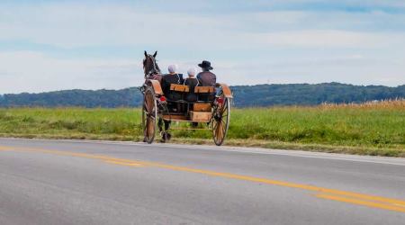 Mennonites