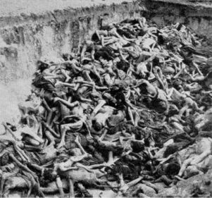 Nazi Mass Murder