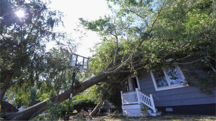 A tree brought down by Hurricane Irene leans against a house in Manasquan, New Jersey, on Monday.