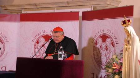 Cardinal Raymond Burke speaks at the Rome Life Forum on May 19, 2017.