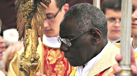 cardinal sarah circuli minores cardinal sarah circuli minores