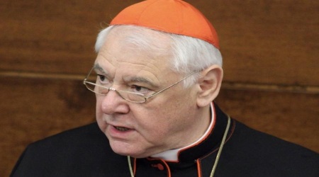 Cardinal Muller