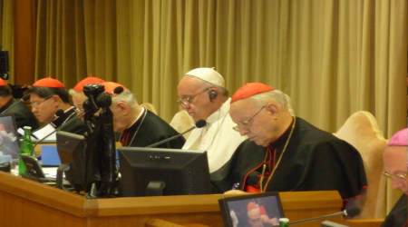 synod fathers