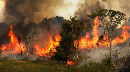 amazone fire