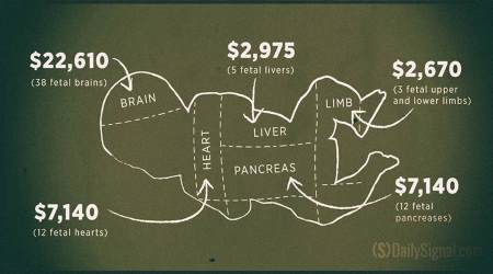 Baby body parts for sale