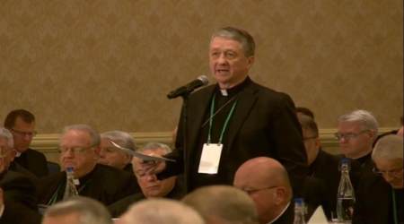 Cardinal Blase Cupich, archbishop of Chicago.