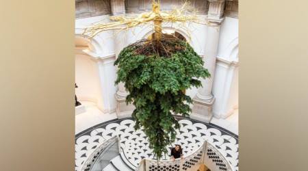 Upside-down Christmas tree