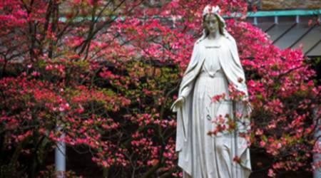 Our Lady