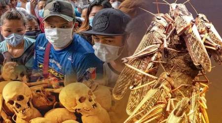 Coronavirus panic and African locust