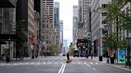 A man walks dogs across a nearly empty 5th Avenue during the COVID-19 coronavirus outbreak in Manhattan, May 11, 2020