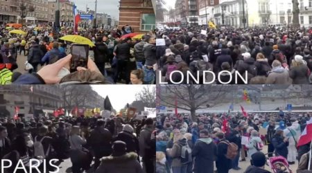 Anti-Lockdown Protests