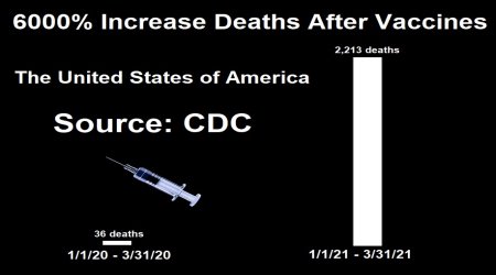 covid vax deaths