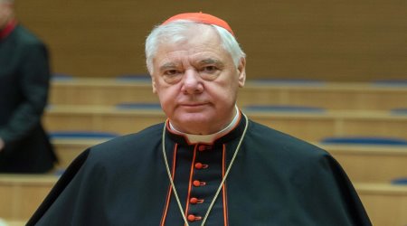 Cardinal Müller