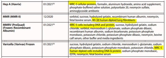 fetal cells used in vaccines