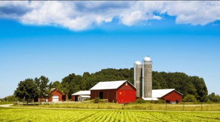 farm