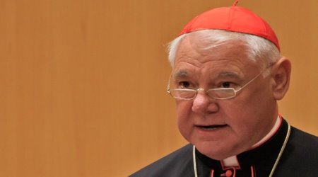 Cardinal Müller