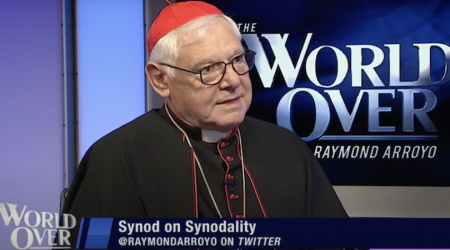 Cardinal Gerhard Müller