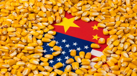 China corn