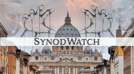 Synodwatch