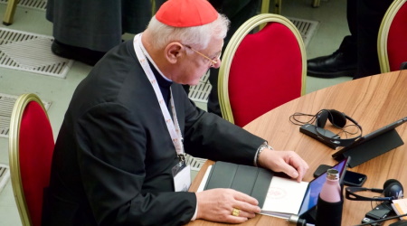 Cardinal Mller