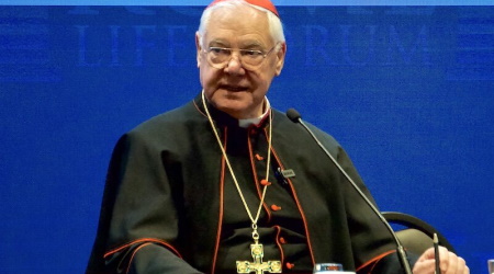 Cardinal Müller condemns