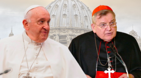Francis and Cardinal Burke