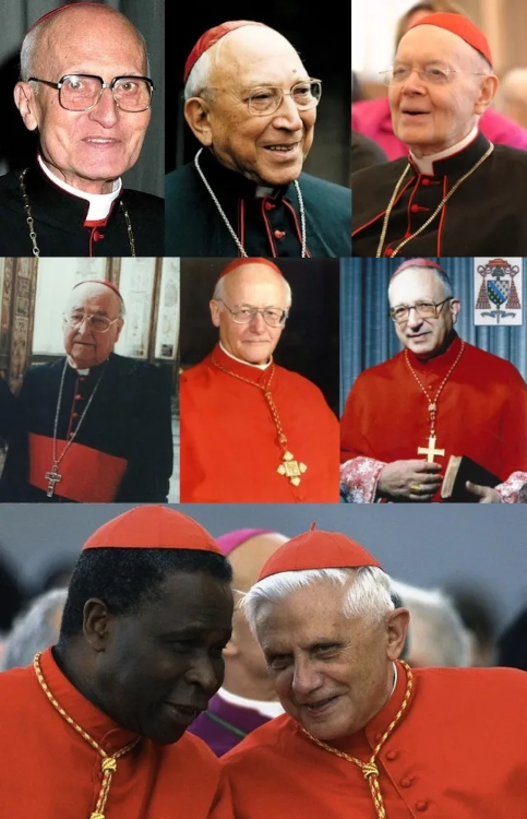 The nine cardinals on the commision set up by John Paul II.