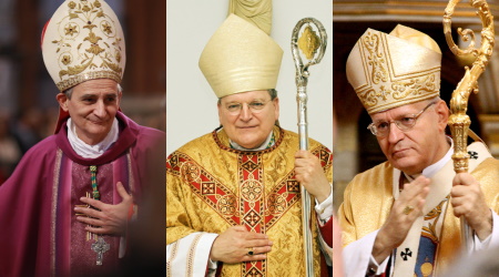 Contenders to Succeed Pope Francis