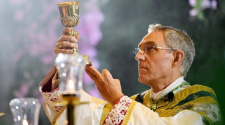 Archbishop Gänswein Calls Synodal Way A "Burden"