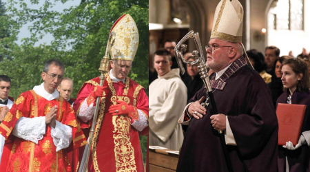 The SSPX and Germany: Different Illnesses, Different Remedies
