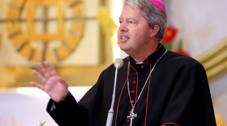 Bishop Robert Mutsaerts: The Church in Crisis — and How We Must Not Save Her: Twelve Issues