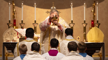 Cardinal Burke Defends the Title of Co-Redemptrix for Our Lady and Warns against Weakening Marian Doctrine Cardinal Burke Defends the Title of Co-Redemptrix for Our Lady and Warns against Weakening Marian Doctrine