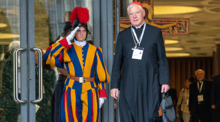 Cardinal Müller Recalls that the Church Belongs to Christ and Cannot be Reformed According to Human Criteria Cardinal Müller Recalls that the Church Belongs to Christ and Cannot be Reformed According to Human Criteria