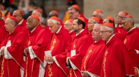 A Church Without a Tongue: More and More Cardinals No Longer Master the Language of the Church