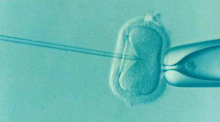 The Moral Problem With IVF: Human Beings Aren't Property