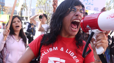 Poll: More than 40 Percent of Americans Have Positive View of Socialism
