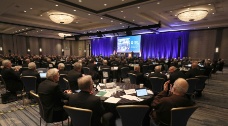 $141 Million a Year: 81% of USCCB Revenue Comes from Grants for Immigrant Programs