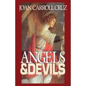 Angels And Devils book